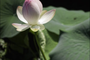 6 ways to increase intimacy and love.